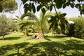 Beautiful garden at restaurant stop on the trip to the Agricento Temples