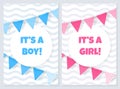 Its a boy. Its a girl. Baby shower card with flags Royalty Free Stock Photo