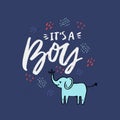 Its a boy lettering hand drawn illustration Royalty Free Stock Photo