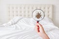 Its dirty there! Lens with bug against bed. Insanitation in bedroom. Sign of uncleanness. Insects are everywhere. Unwashed bedclot Royalty Free Stock Photo