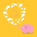 Its a girl. Baby shower card with elephant and fountain. Flat design