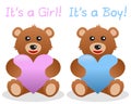 Its a Girl and Boy Teddy Bear Royalty Free Stock Photo