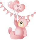 Its a Girl Teddy Bear