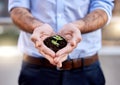 Its growing nicely. an unrecognizable businessperson holding a plant in soil at work.