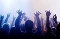 Its live music or nothing for true fans. adoring fans at a rock concert. Royalty Free Stock Photo