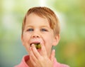 Its a mouthful of fruitiness. a boy stuffing two grapes in his mouth. Royalty Free Stock Photo