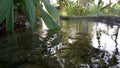 Moving water for fields through small lake