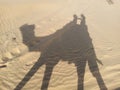 Its not a drawing its a shadow of camel ride