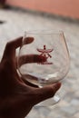 Its the picture of wine glass which have khukuri sign.