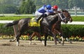 Its Tricky Wins The Ogden Phipps Stakes