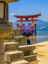 Itsukushima Floating Torii Gate in Miyajima, Japan Royalty Free Stock Photo