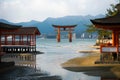 Itsukushima shrine, floating Torii gate, Miyajima island, Japan. Royalty Free Stock Photo