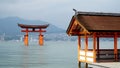 Itsukushima Shrine Torii Gate at Miyajima in Hiroshima Royalty Free Stock Photo