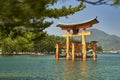 Itsukushima Torii, floating gates framed by pine tree branches Royalty Free Stock Photo