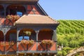 Itterswiller (Alsace) - House and vineyard