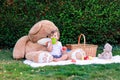 Ittle baby boy having picnic with teddy toys in garden. Happy child sitting on blanket with basket