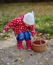 Ittle cute girl with cranberries basket