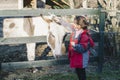 Little girl caresses donkey putting her head off the fence