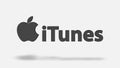 ITunes inscription and apple icon on white background. Grey letters gather and grow, apple music application name