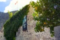 Ity Old Bar in Montenegro. Ancient stone wall with green ivy.