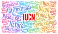 IUCN word cloud illustration Royalty Free Stock Photo