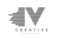 IV I V Zebra Letter Logo Design with Black and White Stripes