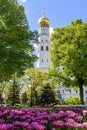 Ivan the Great Bell Tower in Moscow Kremlin in spring, Russia Royalty Free Stock Photo