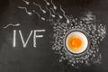 IVF concept. Egg and sperm on a black chalk board, drawn in chalk. An egg is a chicken egg in a white bowl. Illustration of the Royalty Free Stock Photo