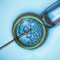 IVF macro concept Royalty Free Stock Photo