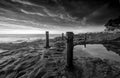 Ivo Rowe Rockpool Coogee Australia