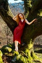 Ivory Flame. Woman with red hair posing against a tree in a sheer red dress