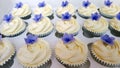 Ivory frosted cupcakes with purple petunias Royalty Free Stock Photo