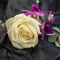 Ivory wedding rose buttonhole