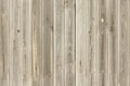 Ivory wood texture. Background light old wooden panels seamless Royalty Free Stock Photo