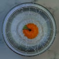 Ivry-Sur-Seine, France - 02 11 2022: still life. Studio shot of orange clementine dipped in a bowl of water