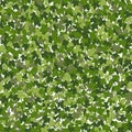 Ivy background, green creeper vines curtain. Vector illustration in flat cartoon style.