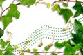 Ivy border with holly musical stave. Royalty Free Stock Photo