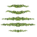 Ivy borders, green creeper decorative dividers isolated on white background. Vector illustration in flat cartoon style Royalty Free Stock Photo