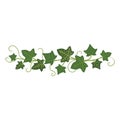 Ivy branch icon, green climbing garden frame