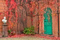 Ivy on brick walls. Royalty Free Stock Photo