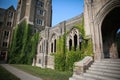 Ivy at Cornell University Royalty Free Stock Photo