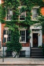 An ivy covered brick house in Greenwich Village, Manhattan, New York City