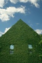 Ivy covered building Royalty Free Stock Photo