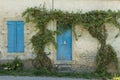 Ivy covered building, Dijon, France Royalty Free Stock Photo