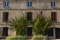 Ivy covered building, Dijon, France Royalty Free Stock Photo