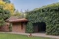 Ivy Covered Building with Dog Royalty Free Stock Photo