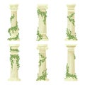 Ivy-covered classic columns vector set. Cartoon greek antique roman pillars with climbing ivy branches isolated flat vector Royalty Free Stock Photo
