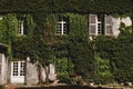 Ivy Covered Facade of Historical French Building Royalty Free Stock Photo