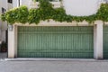 Ivy covered garage