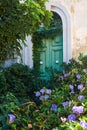 Ivy-covered green door in the wall of old house. Malta Royalty Free Stock Photo